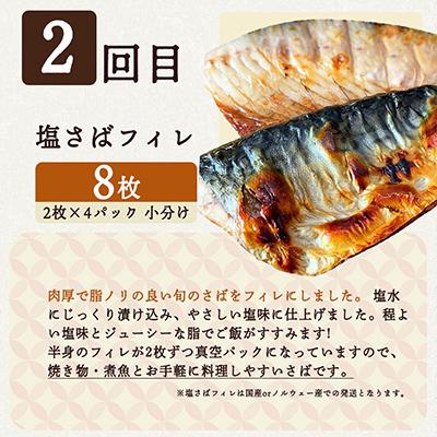 ふるさと納税 印南町 【毎月定期便】海鮮セットE(銀鮭切身・サバフィレ・紅鮭切身)全3回 |  | 02