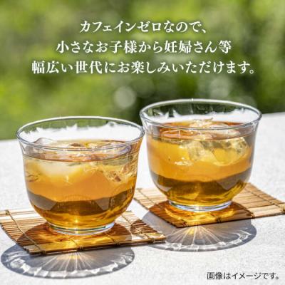 ふるさと納税 糸島市 【全12回定期便】麦茶600ml×24本 スターナイン お茶 ペットボトル[ARM020] |  | 01