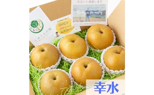 幸水梨 6～7玉