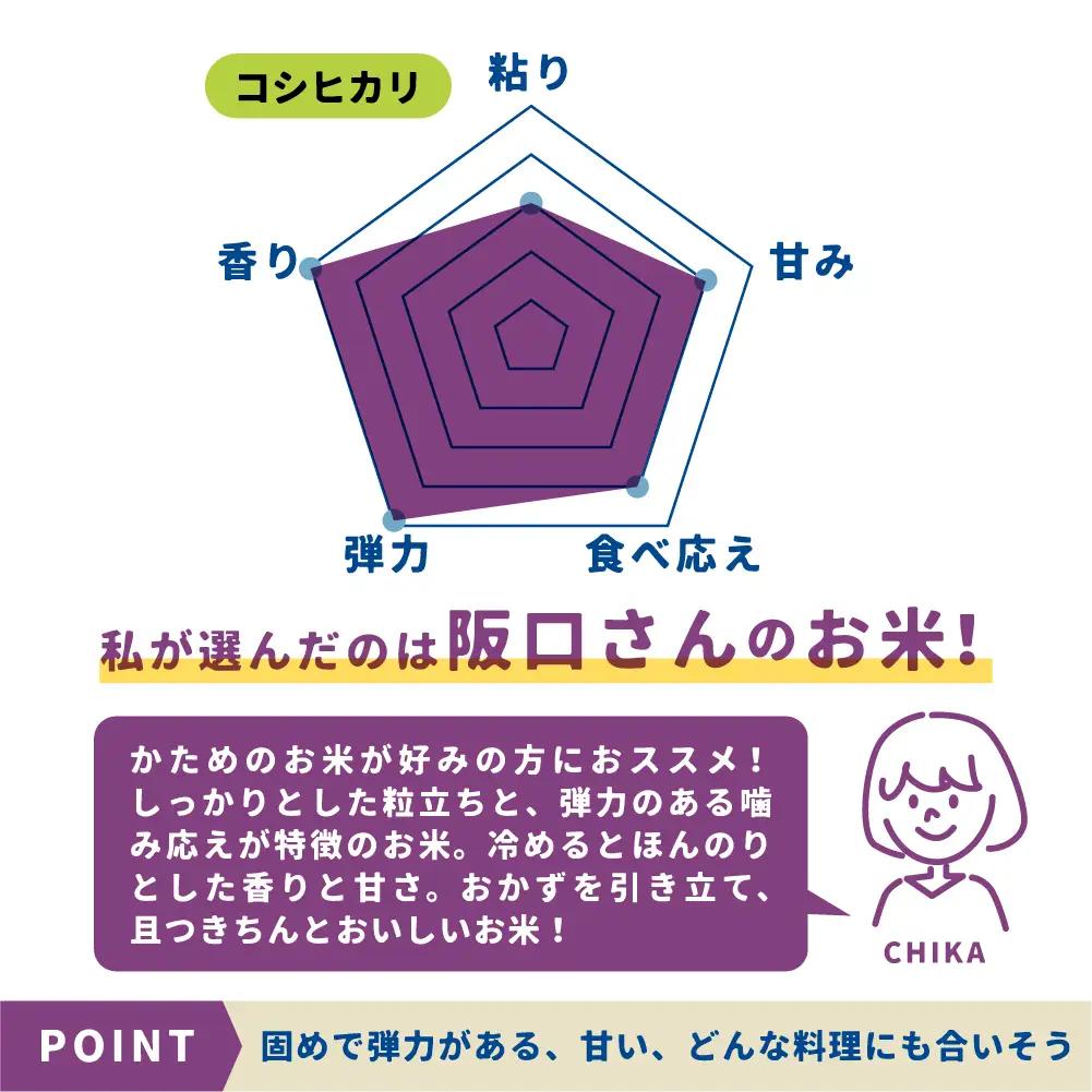 《先行予約》特別栽培米 コシヒカリ5kg 米 / こしひかり 米 阪口農園 米 5キロ