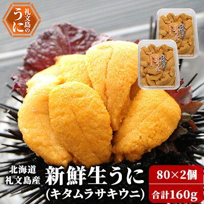 【ふるさと納税】北海道 礼文島産 新鮮生うに（ キタムラサキウニ ）80g×2個 ウニ 雲丹 　お届け：2026年5月上旬～9月中旬まで