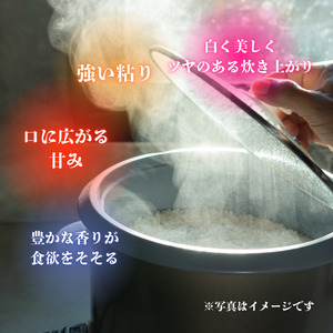 利根町産　コシヒカリ　精米　5kg ／ 米 こめ コメ お米 おこめ コシヒカリ こしひかり 令和7年産 新米 精米 白米 ごはん ご飯 5kg 茨城県 利根町 産地直送 送料無料