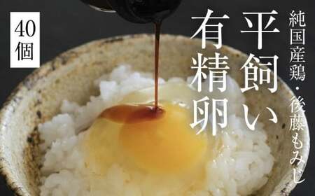 平飼い有精卵 40個《西粟倉村》【株式会社点々】t-SS-AoDA
