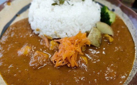 素材にこだわった！ 宗田節 と 四万十鶏 の旨みたっぷり！ 土佐 カレー 5食セット 〔冷凍〕 スパイス ［1595］