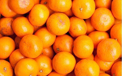 家庭用 小さな有田みかん10kg+250g（傷み補償分）［2025年10月上旬から2026年1月下旬頃順次発送予定］［IKE223］