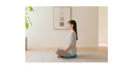 整体師監修 骨盤 クッション スイッチャー (腰ケア 骨盤ケア 腰サポート オフィスチェア） ｜ 健康 器具 整体 矯正