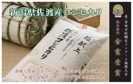 【新米・先行予約】10kg 新潟県佐渡産コシヒカリ10kg(5kg×2)×6回「6カ月定期便」