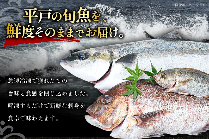 魚 刺身 【4月発送】 3種セット 3人前 各 約150g 総計 約450g  [百旬館 長崎県 平戸市 hr42bhb460005] お刺身 さしみ 鮮魚 詰め合わせ 冷凍 ヒラマサ ヒラス ぶり 