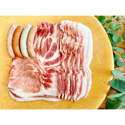 【小江戸黒豚】ご自宅用・使いやすい3mmスライス＆ソーセージセット【配送不可地域：離島】