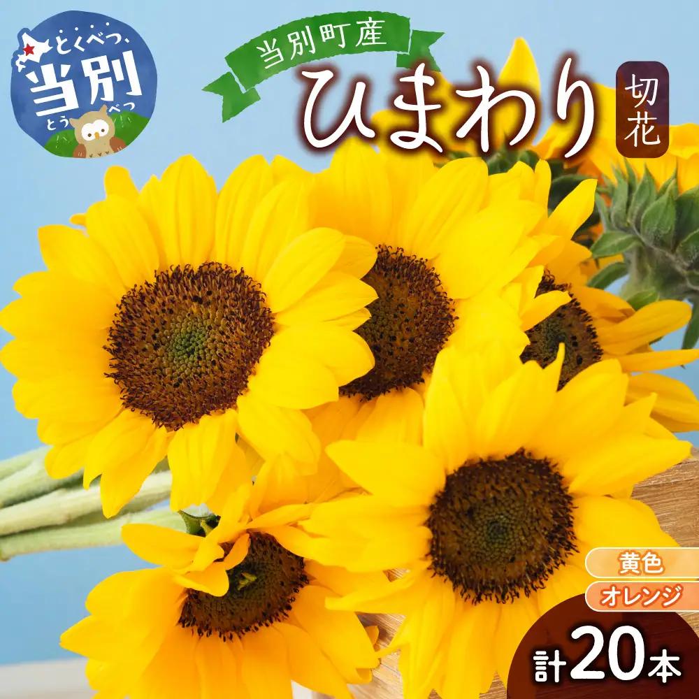 ひまわり 切花 20本 黄色 オレンジ 四季農場《6月上旬-9月下頃出荷》北海道 当別町 切り花 冷蔵便 北海道産 当別町産