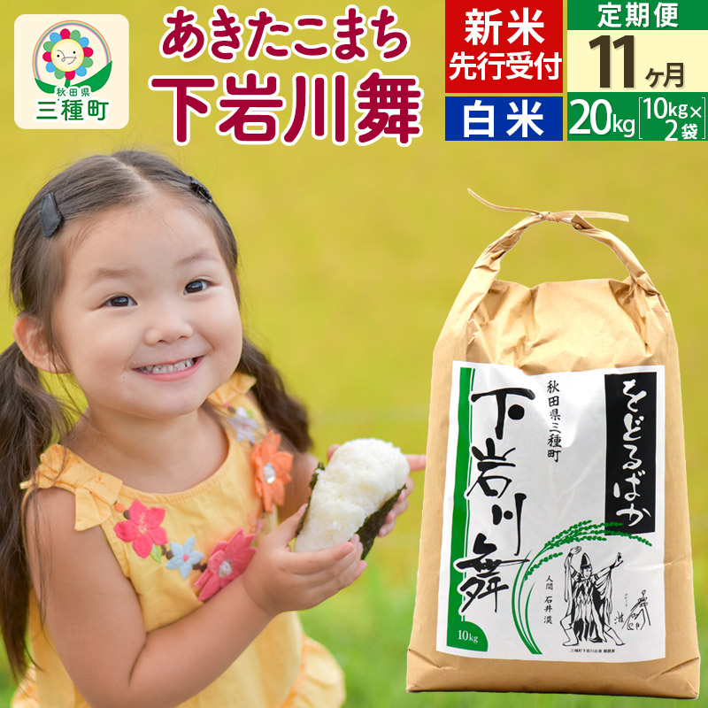 新米先行受付《11ヶ月定期便》【白米】あきたこまち 20kg (10kg×2袋 ) 秋田県三種町産 令和7年産 下岩川舞 石井漠 をどるばか オリジナルラベル