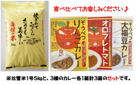 北海道壮瞥産　お米とレトルトカレー3種セット SBTA047