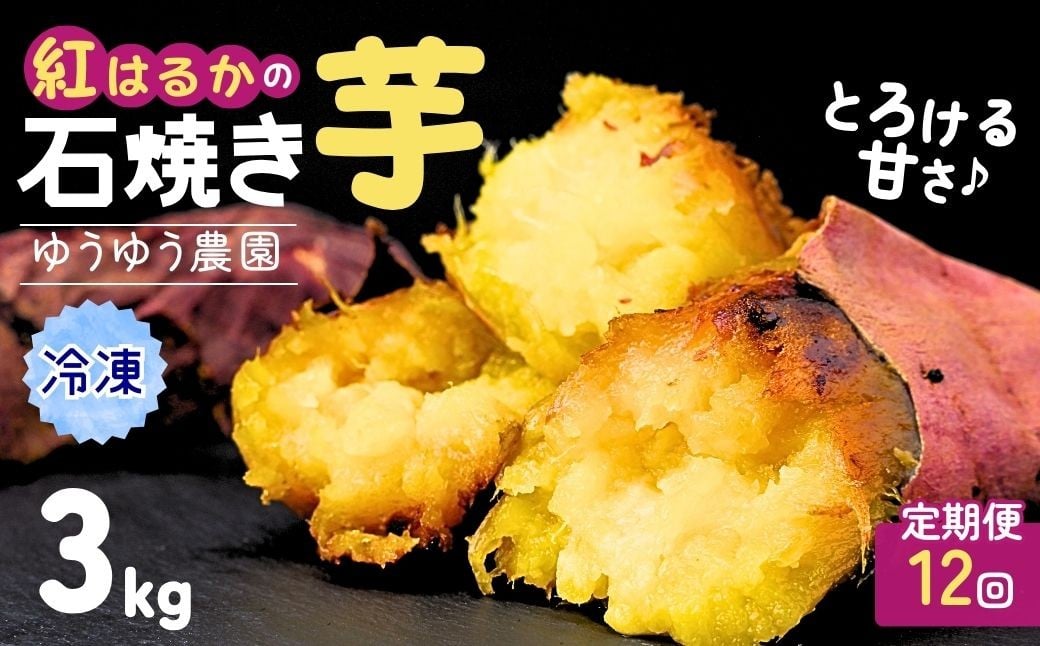 
            【定期便12回】【訳あり】ゆうゆう農園の焼き芋 冷凍 3kg | 焼芋 焼いも やきいも ヤキイモ さつまいも サツマイモ ねっとり スイーツ おやつ 定期便 ゆうゆう農園 茨城県 龍ケ崎市 
          