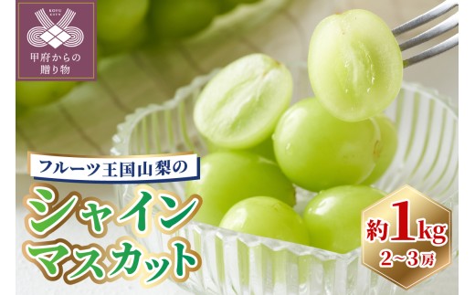 シャインマスカット 先行予約 1kg 山梨 〈2026年度配送分〉 しゃいんますかっと 2~3房(1箱1kg以上)261K