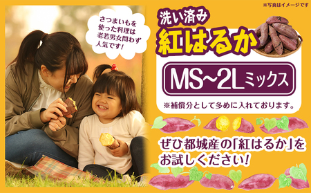 芋名人が認めるさつまいも『洗い済み　紅はるか』MS~2Lミックス_LF-L702_(都城市) 宮崎県都城産 紅はるか MS～2Lミックス 約8.2kg
