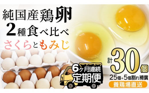 ＼6ヶ月連続お届け／純国産鶏【さくらともみじ】純たまご 30個入り 破損保証5個を含む【たまご 卵 玉子 鶏卵 純たまご 採れたて 新鮮 卵 農地直送】(AJ033)