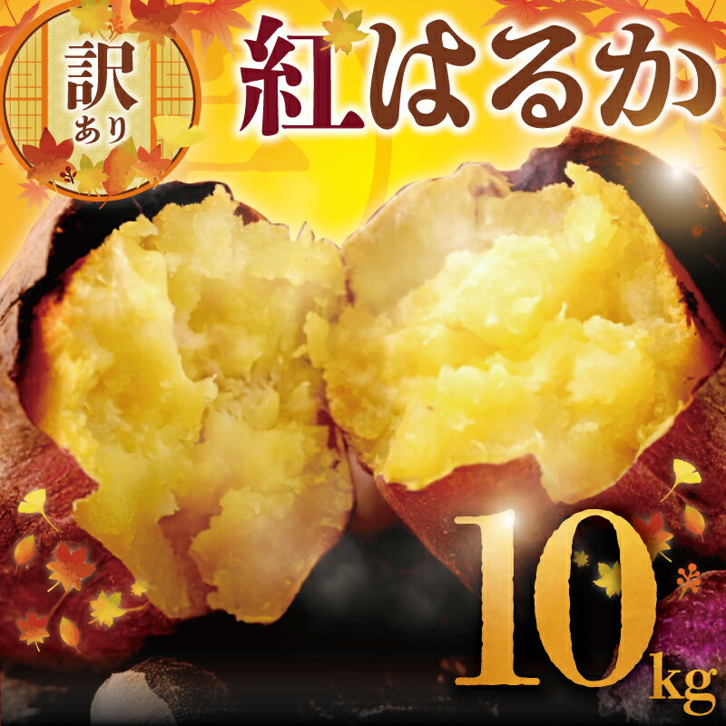 【ふるさと納税】 訳あり さつまいも 紅はるか 10kg 訳アリ 訳有 サツマイモ 薩摩芋 さつま芋 いも デザート べにはるか スイーツ スイートポテト 芋 イモ 旬 秋野菜 秋の味覚 おやつ 食物繊維 不揃い 数量限定 農家直送 産地直送 フロムベジ湘南 10000円 神奈川 湘南 藤沢