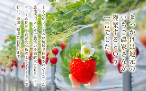 Koichigo Beer 330ml×6本セット【まるなかファーム株式会社】
