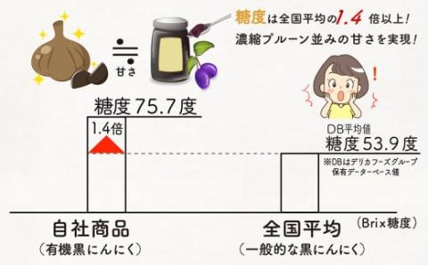 有機黒にんにくペースト 500g×1パック