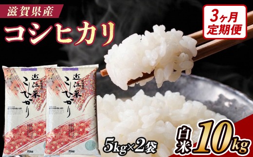 【3ヶ月定期便】【令和7年産】近江米コシヒカリ白米10kg（5kg×2袋）