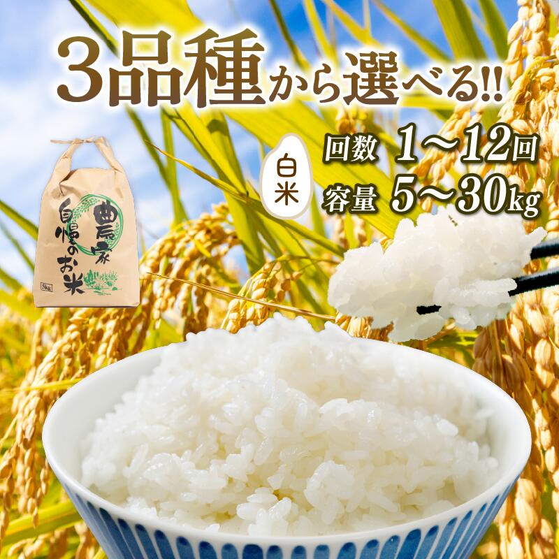 【ふるさと納税】 令和7年産米 白米 選べる 【品種】 【容量】 【定期便】 コシヒカリ ミルキークイーン にじのきらめき 5kg 10kg 20kg 30kg 定期 3ヶ月 6ヶ月 2025年産 米 特別栽培米 国産 環境こだわり お試し こめ 農家直送 滋賀県 竜王町 送料無料