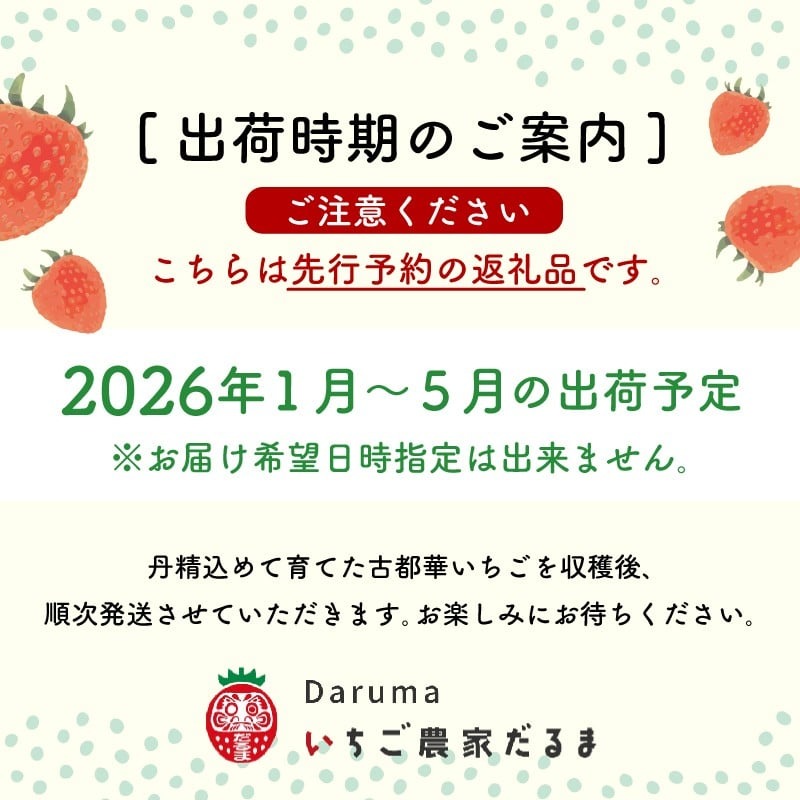 いちご 古都華 270g×2パック 数量限定 苺 イチゴ ブランド 大粒 旬 産地直送 フルーツ 果物 冷蔵 フレッシュ 小分け 国産 贈答用 プレゼント ギフト 奈良産 高級 厳選 限定 新鮮 産地