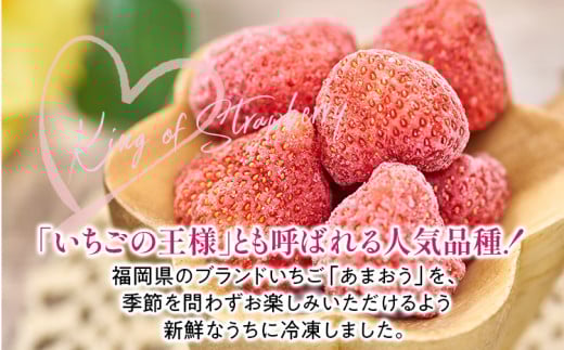 福岡産 冷凍あまおう 1kg(500g×2袋) あまおう イチゴ いちご スイーツ 果物 フルーツ 送料無料 冷凍フルーツ ジャム 苺 ケーキ スムージー いちご飴 かき氷 フルーツ大福 クリスマス 