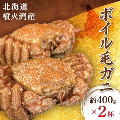 ふるさと納税 八雲町 北海道噴火湾産　ボイル毛ガニ400g前後×2杯