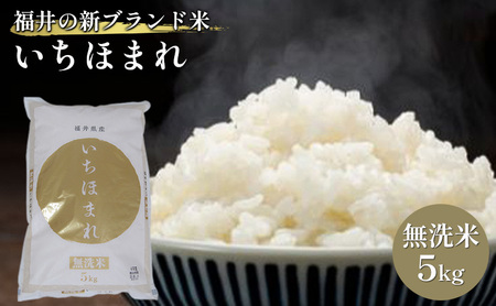 いちほまれ 無洗 5kg 令和8年産 福井の新ブランド いちほまれ