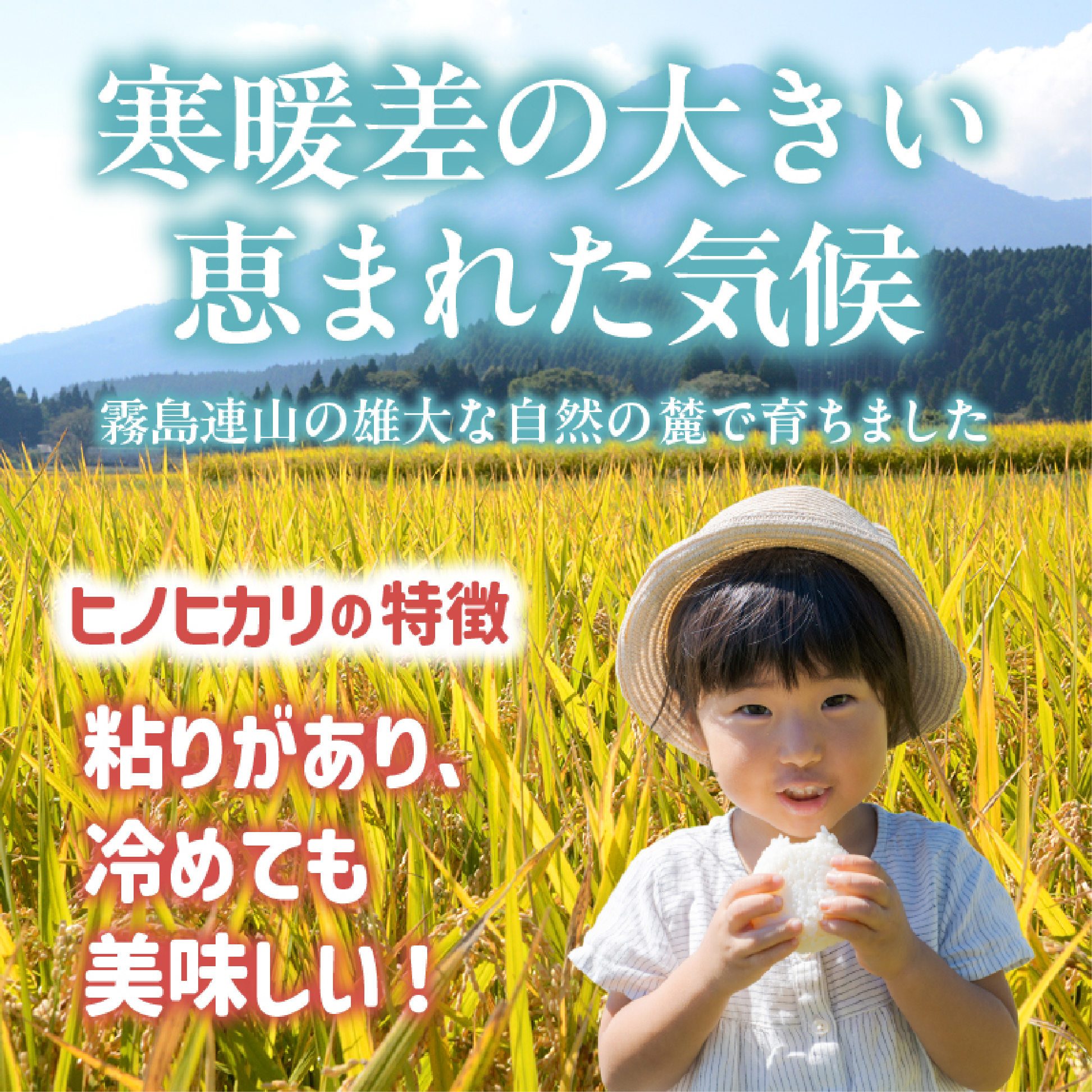【ET024】【定期便 全3回】令和7年産米 ヒノヒカリ 5kg×3回 計15kg（お米 米 新米 ヒノヒカリ 国産 人気 お弁当 宮崎県 小林市）_イメージ5