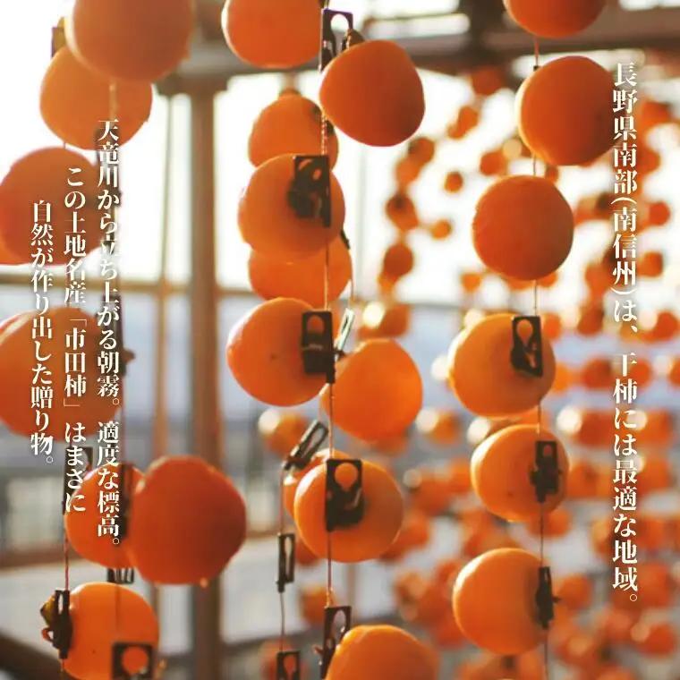 MS44 市田柿 柿実 約500g（ご自宅用）/ 2027年1月中旬～2月下旬頃 配送予定 // 長野県 南信州 干し柿 干柿 高糖度 ドライフルーツ 家庭用 自宅用