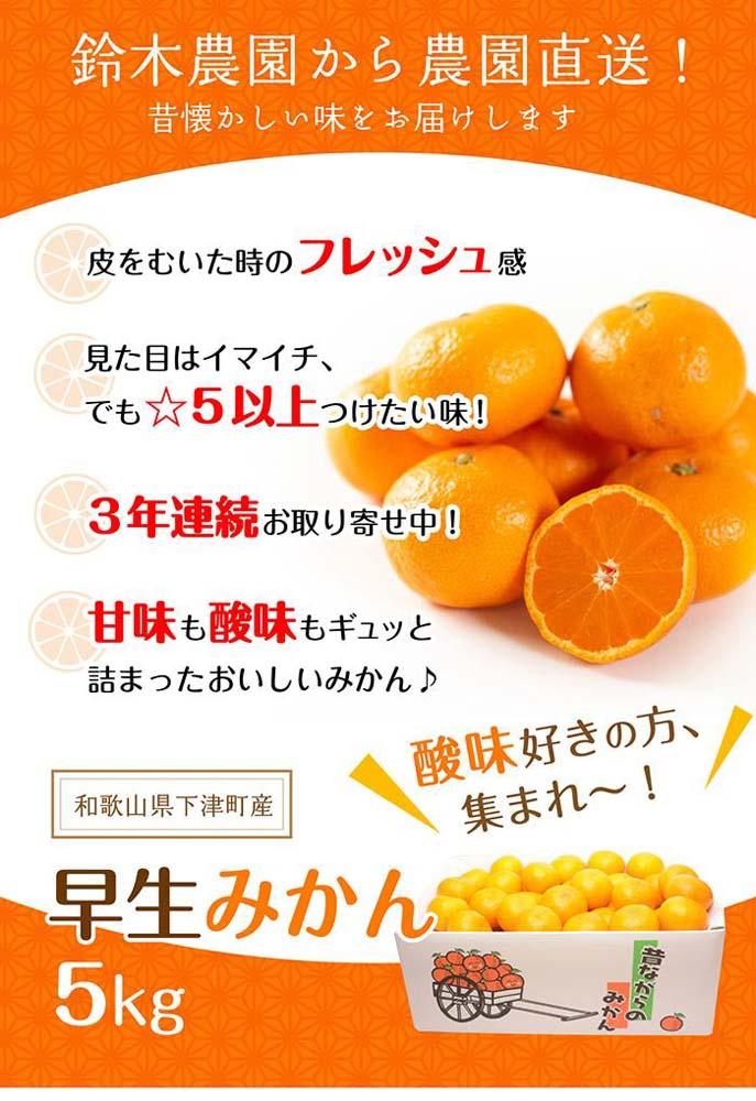 早生みかん 5kg SMLサイズ 和歌山県 海南市 鈴木農園 みかん mikan ミカン 蜜柑  温州みかん
