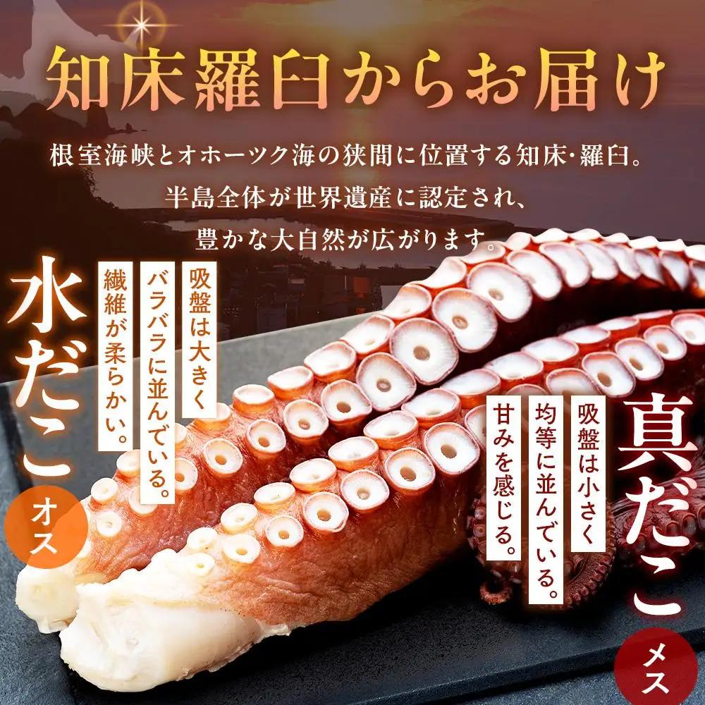 知床羅臼産 冷凍煮だこ(2本)2.5kg  北海道 たこ タコ 人気