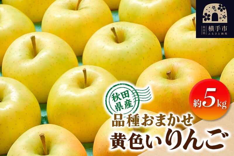 
                  【先行受付】10月上旬より発送 りんご 品種おまかせ 季節の黄色いりんご 約5kg（トキ、ぐんま名月、シナノゴールド） [先行予約 秋田県 横手市 林檎 リンゴ 果物 フルーツ 【りんご】特集]
                
