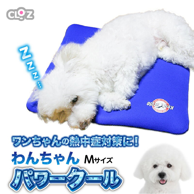 【ふるさと納税】クロッツ わんちゃんパワークールM