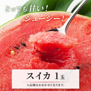 先行 予約 青森 メロン スイカ 各1玉 減農薬栽培 夏の味覚 減農薬 青肉 赤肉 青肉メロン 赤肉メロン フルーツ 果物 旬のフルーツ 旬の果物 旬 夏 レビュー 高評価 先行予約 2026 202