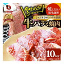 【ふるさと納税】1132-7　やわらか牛ハラミ焼肉 秘伝のタレ漬け10kg(250g×40P)