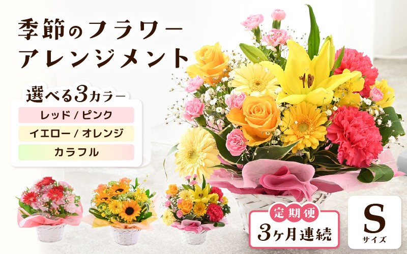 
            定期便 ≪3ヶ月連続お届け≫ 選べるカラー 季節のフラワーアレンジメント S 【カラー：レッド・ピンク / イエロー・オレンジ / カラフル】 【お花 フラワー アレジメント 花束 ギフト 生花 プレゼント 花束 花 記念日 敬老の日 お祝い】 [B-20702] 
          