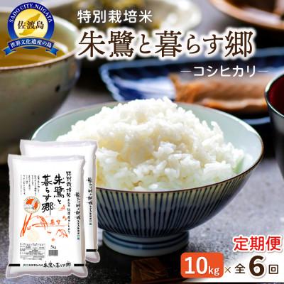 ふるさと納税 佐渡市 【毎月定期便】特別栽培米佐渡産コシヒカリ・朱鷺と暮らす郷10kg(5kg×2)全6回