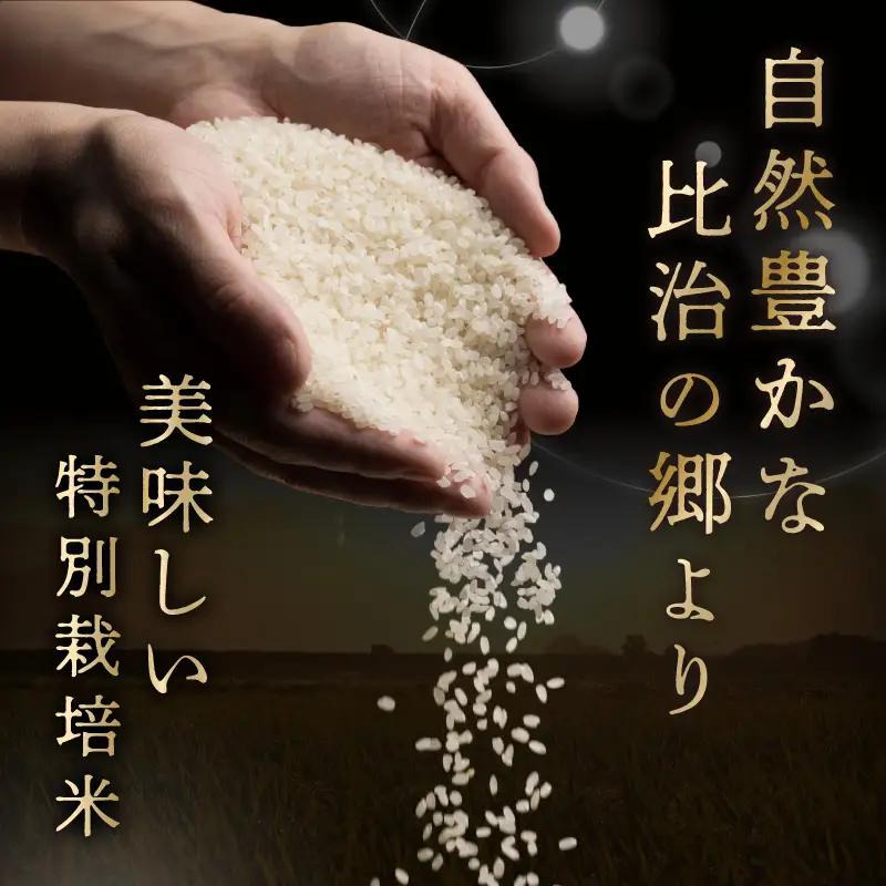 【定期便3回】令和8年産 特別栽培米コシヒカリ 蔵人（くらんど） 玄米5kg