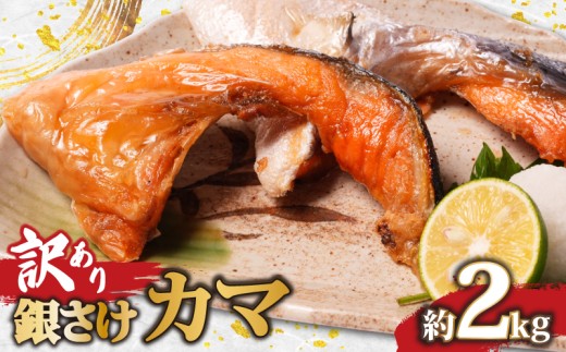訳あり 銀鮭 カマ 2kg 希少部位 鮭 しゃけ シルバーサーモン 塩鮭 銀さけ さけ サーモン 切身 切り身 切り落とし 熟成 小分け 真空 おすすめ 訳アリ わけあり 規格外 不揃い 魚 魚介類 魚貝 海鮮 人気 鮭切身 冷凍 家庭用 おかず 弁当 アレンジ 簡単 調理 お取り寄せ グルメ 魚 大容量 ギフト 贈り物 海の幸 ふるさと納税 ふるさと納税鮭 送料無料 千葉県 銚子市 松岡水産