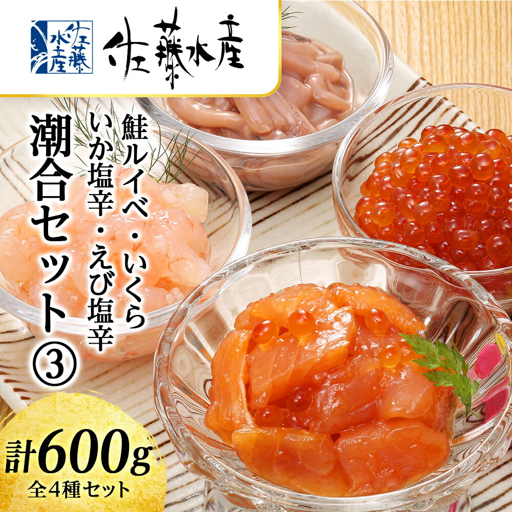 【ふるさと納税】 〈佐藤水産〉潮合セット(3)鮭ルイベ・いくら・いか塩辛・えび塩辛魚貝類 サーモン えび 塩辛 鮭 イカ 魚貝類 漬魚 いくら 醤油漬け【北海道千歳市】ギフト ふるさと納税