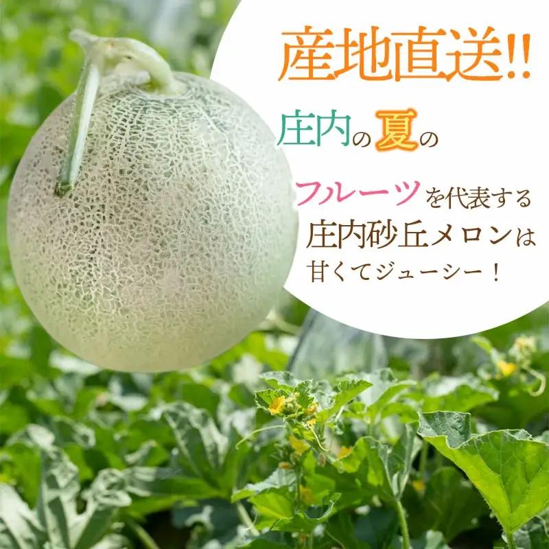 庄内砂丘アンデスメロン 約5kg (3～5玉) 令和9年産 K-935 佐藤農園
