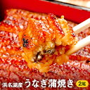 浜名湖産鰻蒲焼き2尾（約110g×2本入）国産うなぎ・さんしょう・たれセット　【魚貝類・うなぎ・ウナギ・鰻】