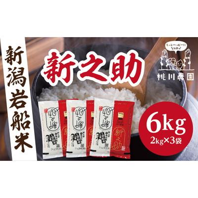 ふるさと納税 村上市 新米【令和7年産米】新潟県村上市産 特別栽培米　新之助 精米 6kg A4100