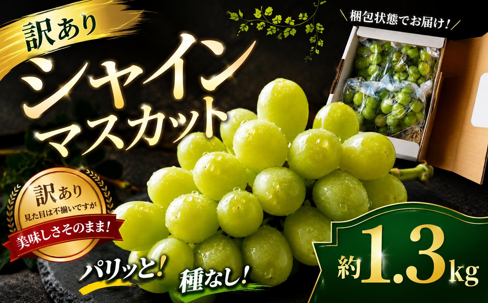 
                  現在発送中！ シャインマスカット 訳あり 種無し 1.3kg 以上 (2～3房) ぶどう シャインマスカット シャイン シャインマスカット ブドウ シャイン マスカット しゃいんますかっと マスカット 葡萄 フルーツ 果物 くだもの フルーツ 産地直送 千葉 香取 関東 旬 新鮮 種なし ふるさと納税◎ [菅谷ぶどう園 千葉県 香取市 SGY001] 
                