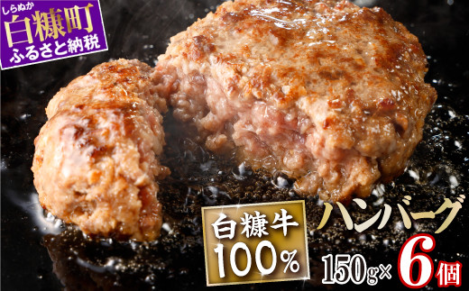 
            白糠牛100％ハンバーグ【150g×6個】合計900g 北海道産 牛肉100% ハンバーグ 職員大絶賛!! 肉汁 旨味ぎっしり ふるさと納税 ハンバーグ 白糠牛100% 国産 大容量 小分け 簡単調理 惣菜 おかず お弁当 一人暮らし 牛肉 牛 肉 白糠町
          