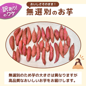 【訳あり】無選別のさつまいも(紅はるか)10kg | 茨城県 龍ケ崎 サツマイモ 国産 おすすめ 人気 根野菜 べにはるか 紅はるか ホクホク 天ぷら 大学芋 お菓子作り 煮物 焼き芋 特産品 農家 