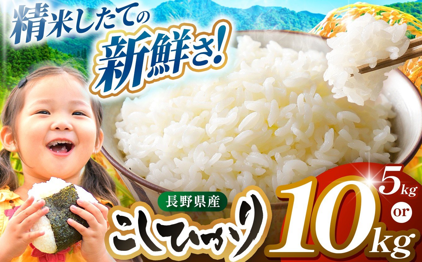 
                  米 5kg 10kg コシヒカリ 令和7年産 JA上伊那 コシヒカリ 今ずり米 5kg 10kg 選べる 長野 上伊那産 お米 長野県産 こしひかり 5キロ 10キロ 白米 精米 信州産 特産 産地直送 おすすめ こめ コメ おこめ 送料無料 長野県 伊那市 【017-24】【034-10】
                
