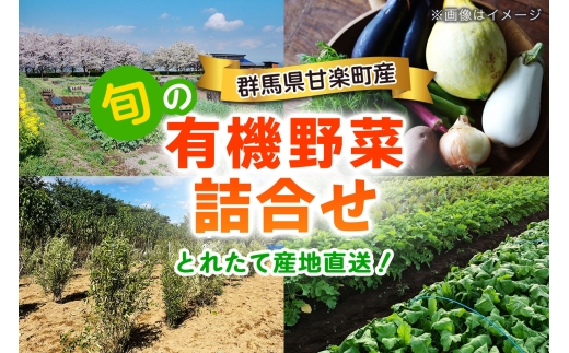 旬の有機野菜詰合せ／群馬県甘楽町産｜有機野菜 新鮮野菜 有機栽培 獲れたて 産地直送 群馬県産 甘楽町産 [0350]